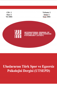 Uluslararası Türk Spor ve Egzersiz Psikolojisi Dergisi
